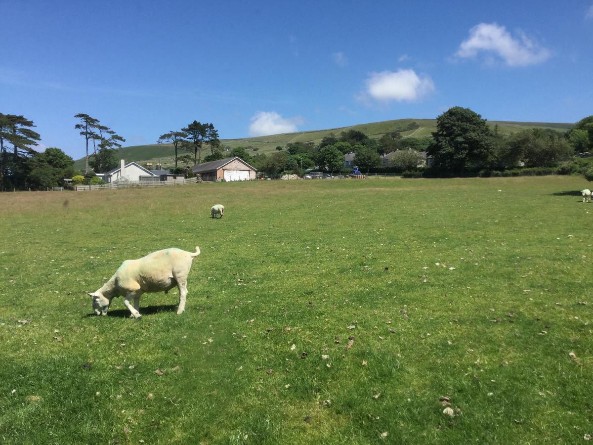 Plas Y Nant Llwyngwril Zewnętrze zdjęcie